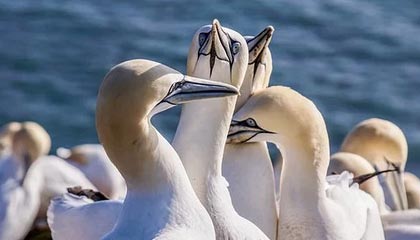 开yun体育-今年助攻王此次用“神级传球”圈粉无数！，助攻王什么意思