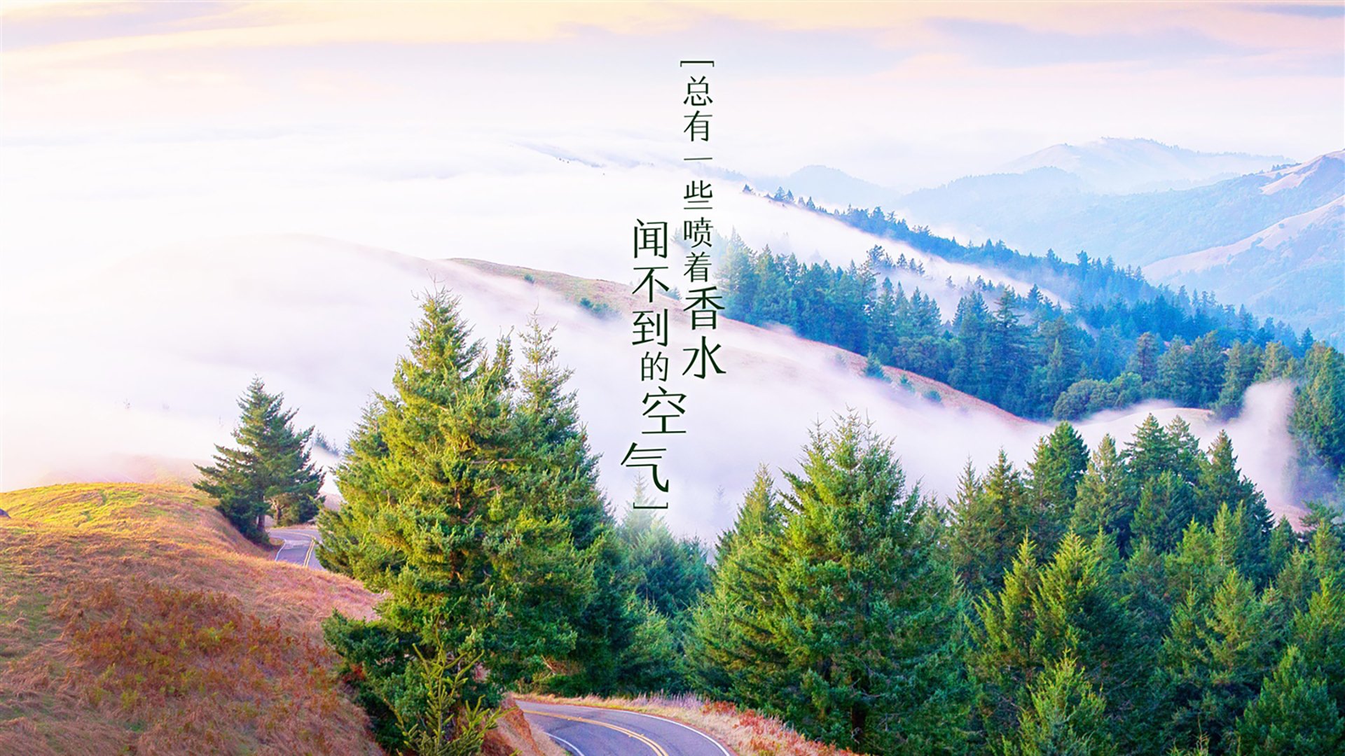 马刺迎来连胜！，马刺赢了