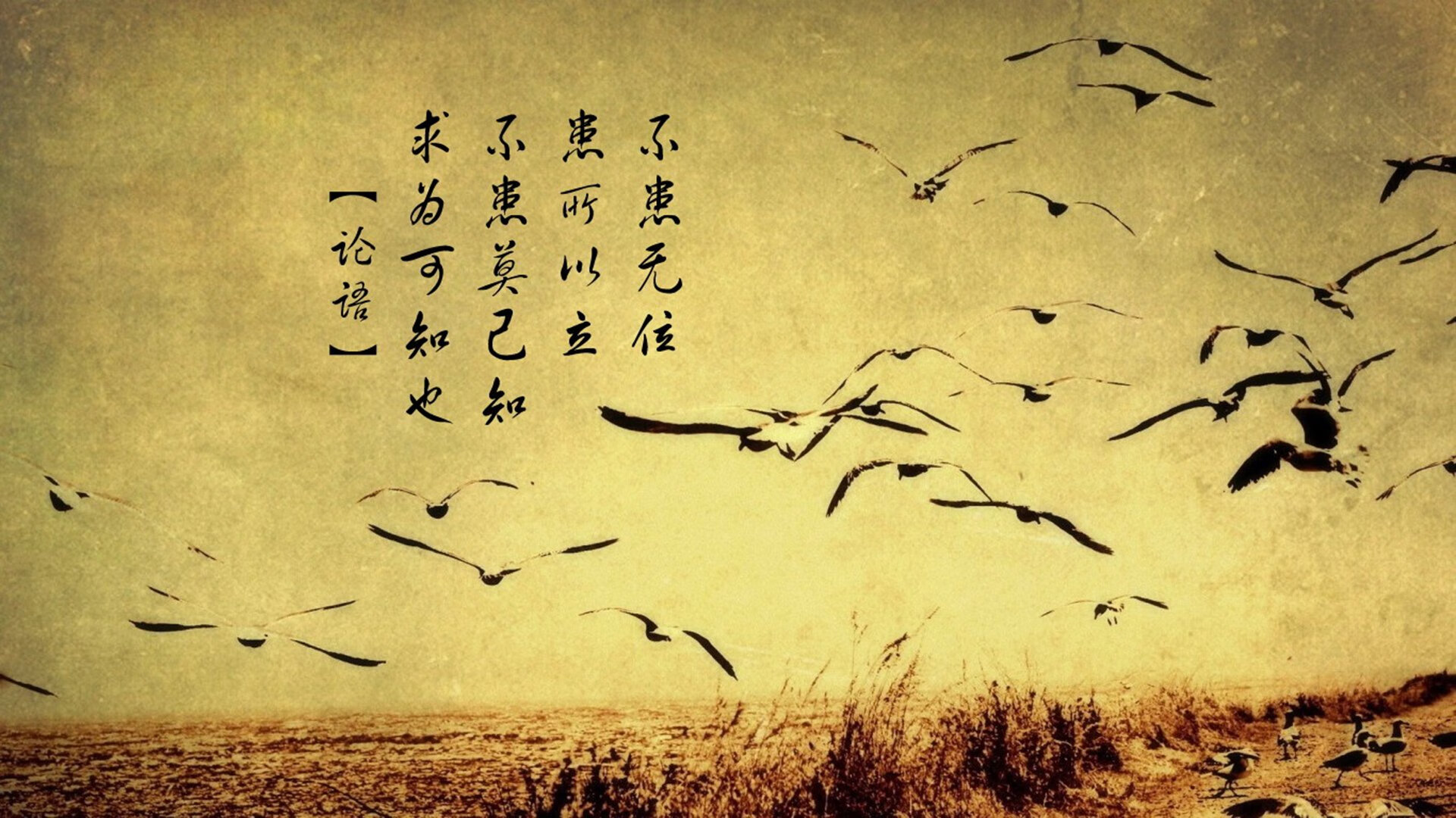浙江绿城球队意气风发，豪取重要胜利，2021浙江绿城足球队最新消息