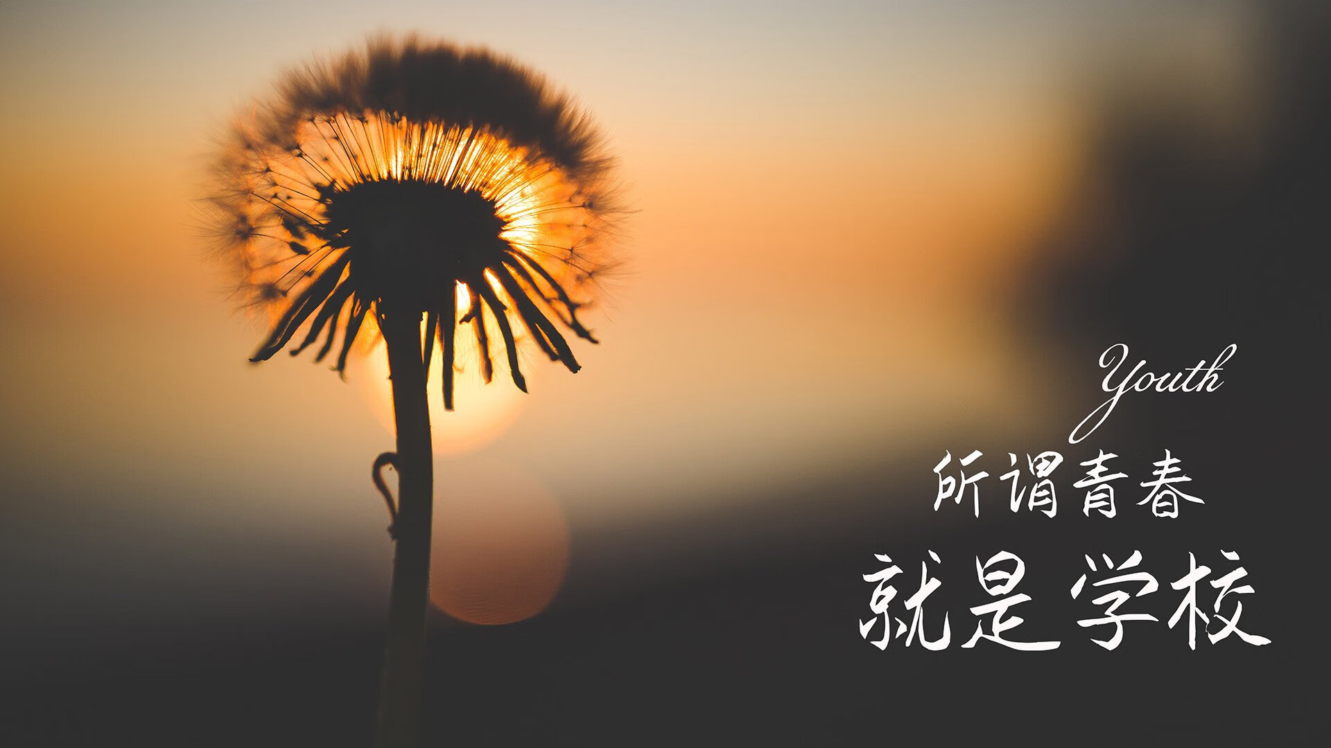 中超联赛中国青年队逆袭 球迷大呼精彩，中超青训队