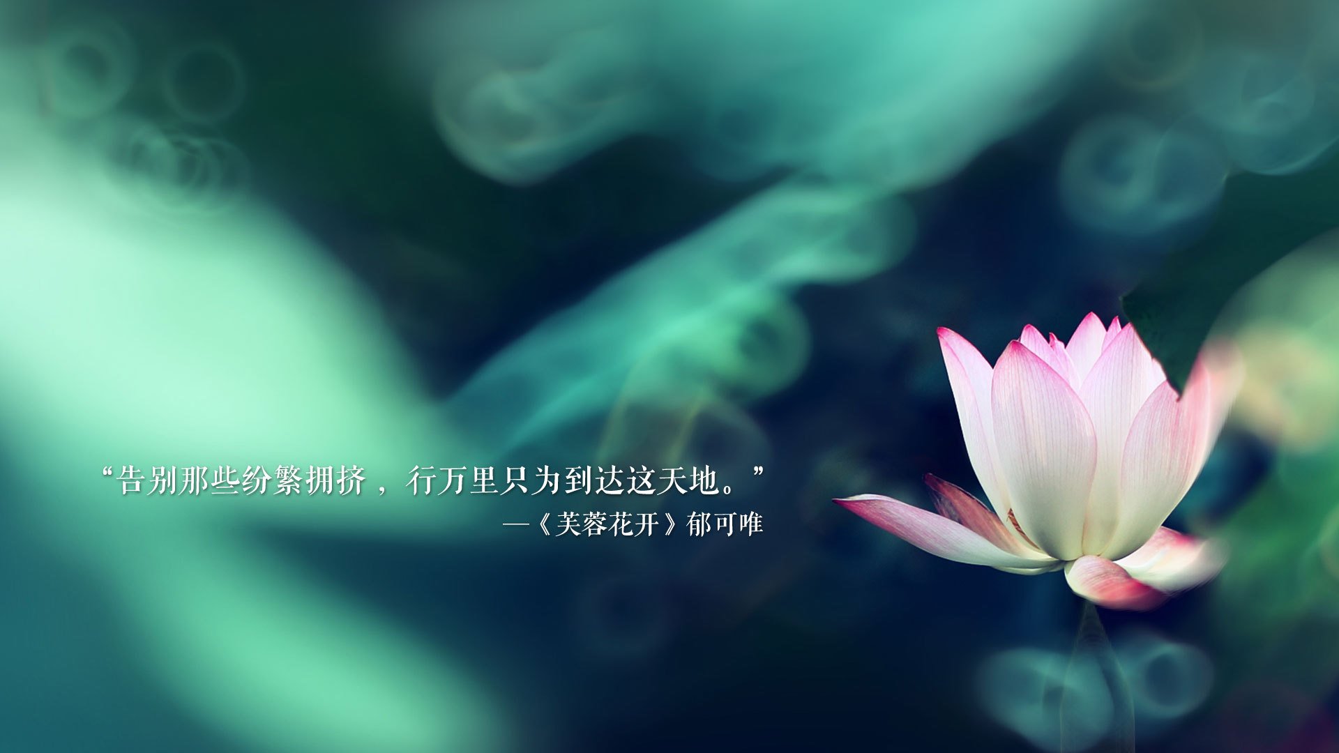 体育纪录片拍摄视角聚焦家庭支持力量，体育纪录片主题
