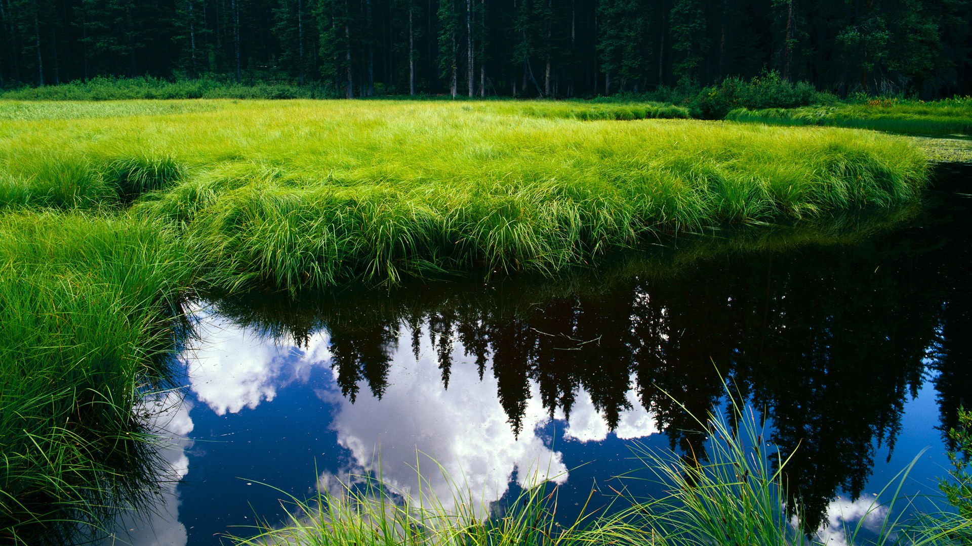 开云·Kaiyun网页版-瑞典队乒乓战术：如何提高接发球的稳定性，瑞典乒乓球两位老将