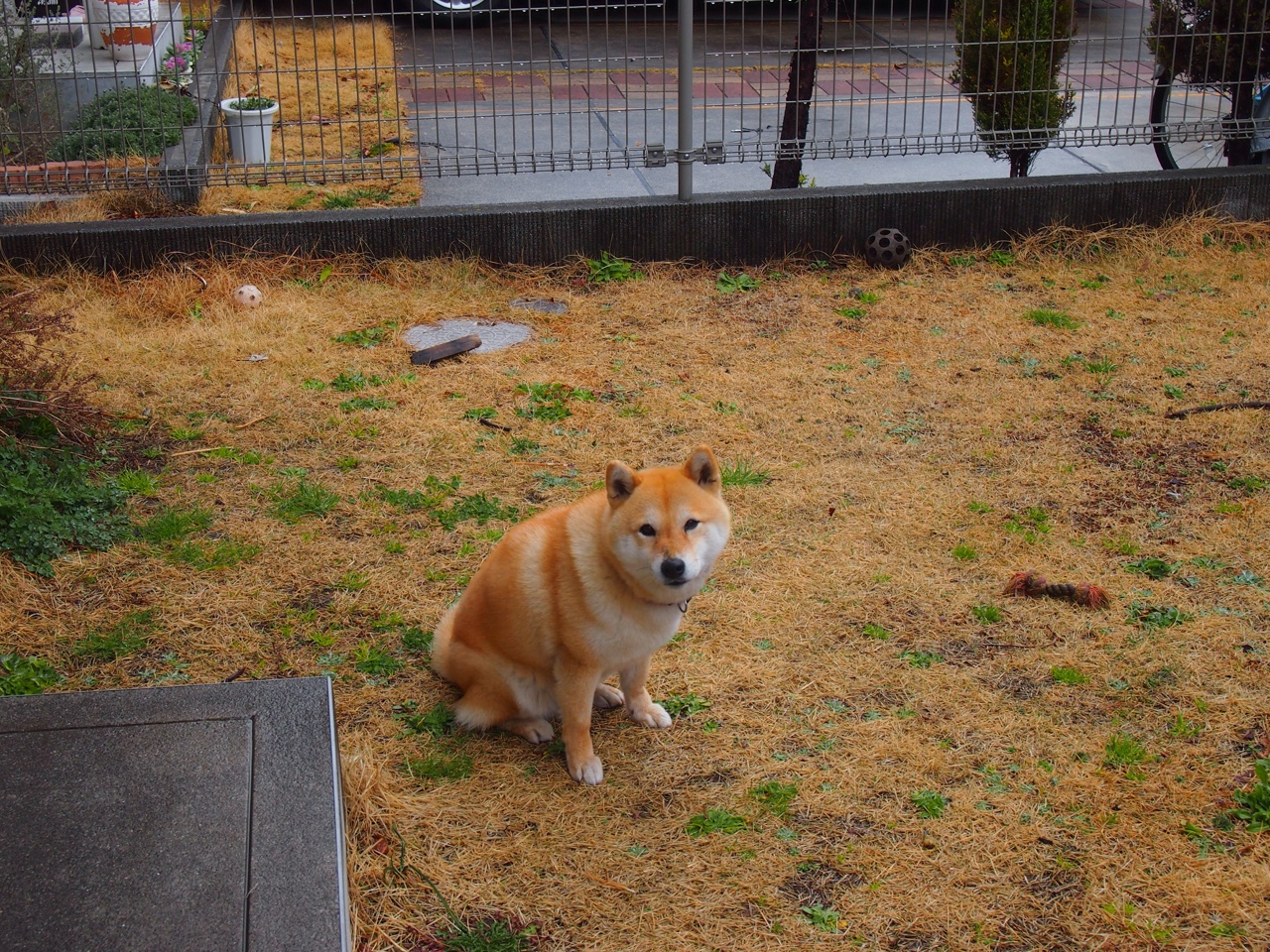 kaiyun中国官方网站-乔纳·隆戈：全黑队的力量与速度双重象征