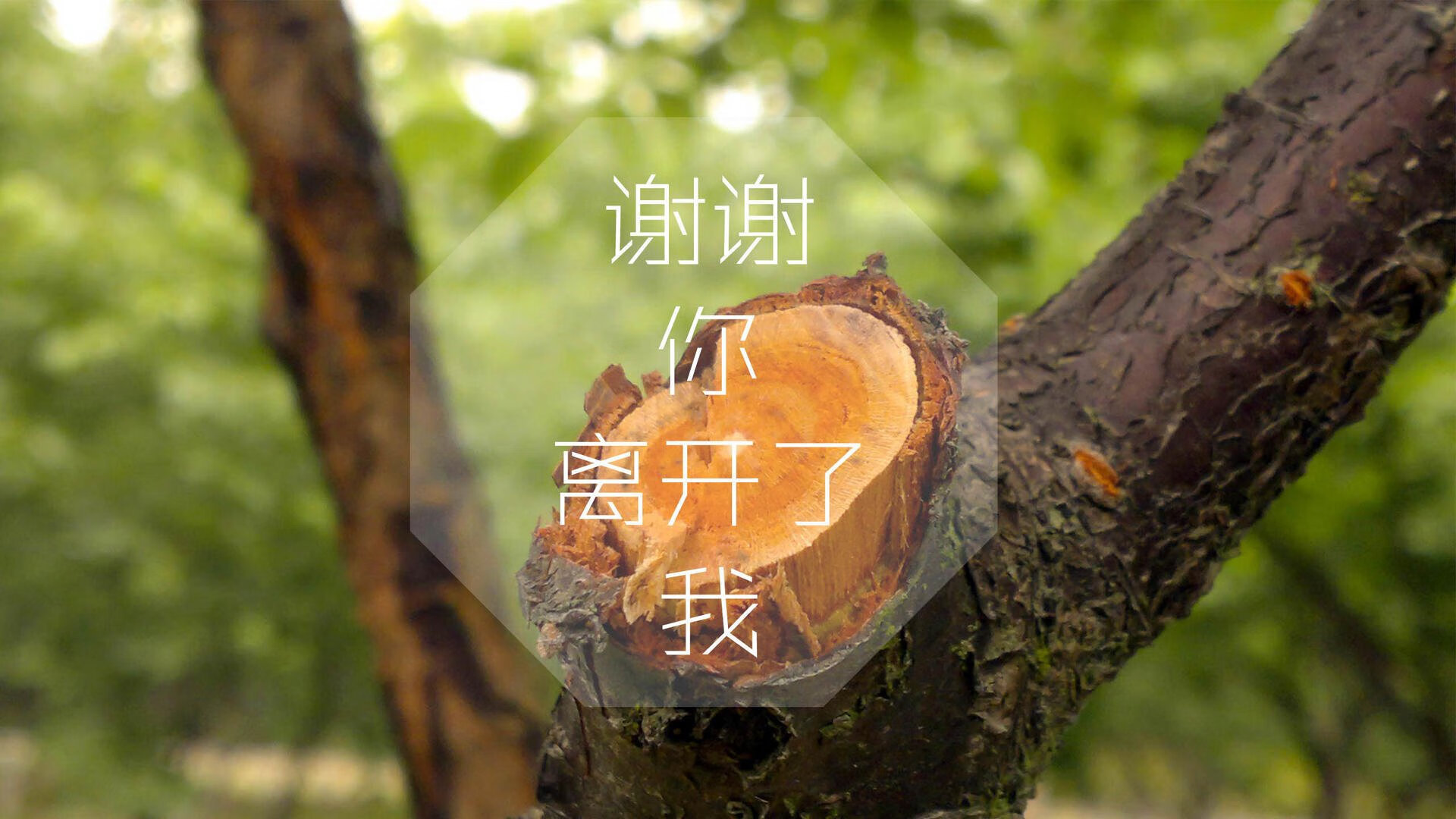 俱乐部加强媒体公开课频率推动体育文化传播与内容普及，体育赛事的媒体宣传需要向媒体经营单位直接支付费用
