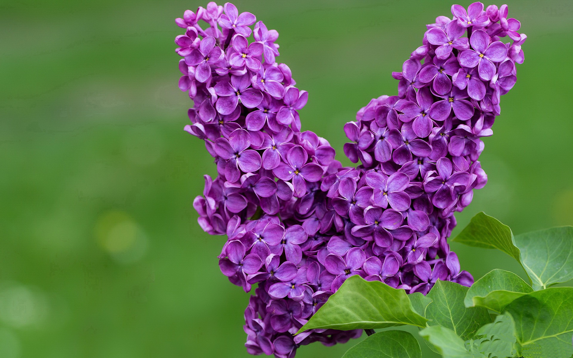 男篮训练营设立专题教练提升专项战术训练效率，男篮集训队