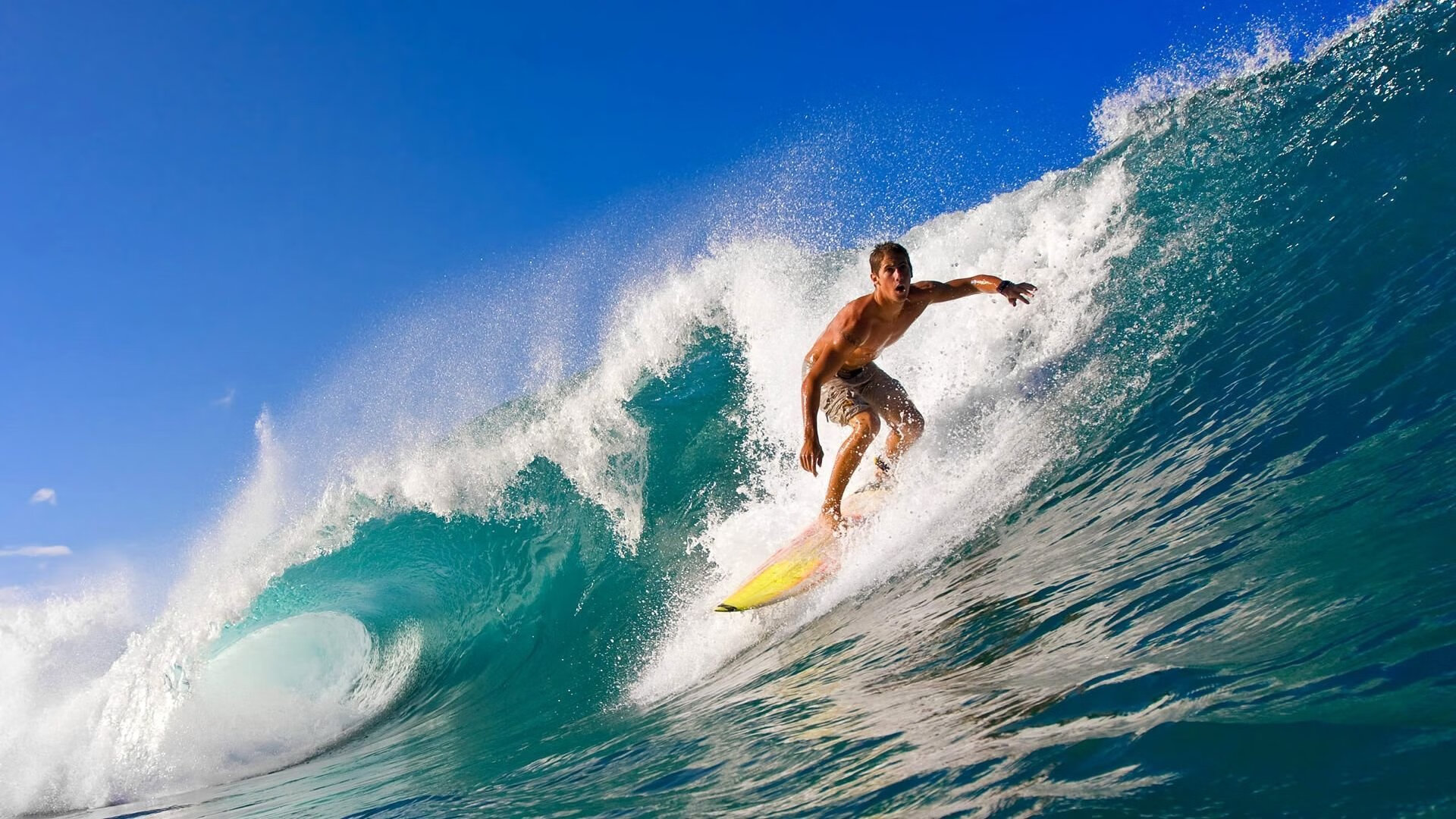 开云体育中国官方网站-运动员的养成体系：从青训到职业的精细培养，运动员培养目标